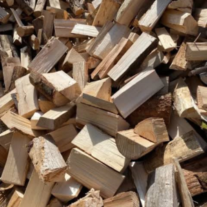 green maple firewood