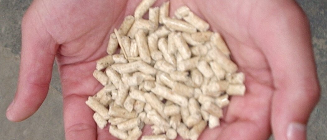 Wood Pellets Price Per Ton in 2026: Real Prices and Proven Ways to Save