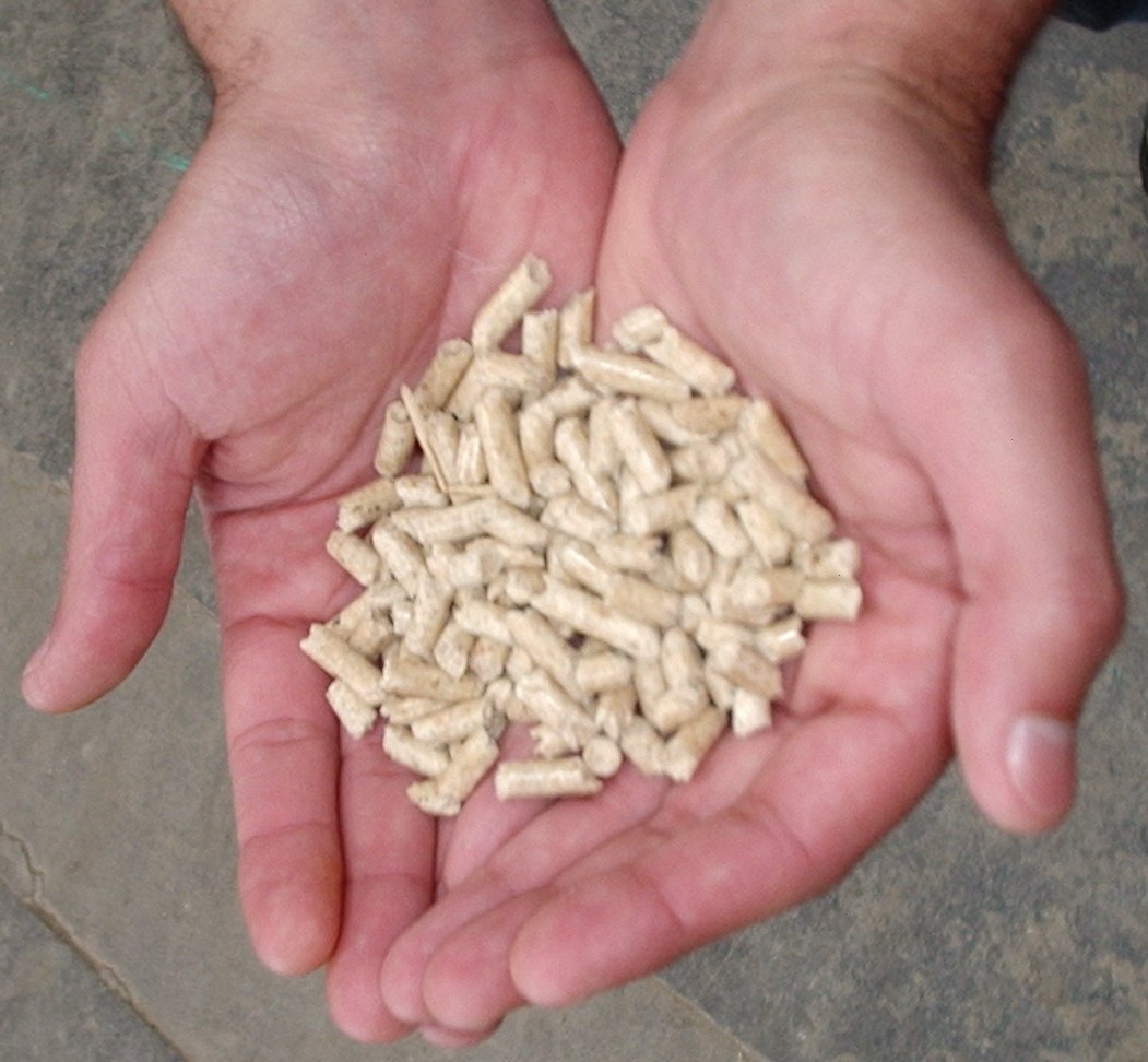 Wood Pellets Price Per Ton in 2026: Real Prices and Proven Ways to Save
